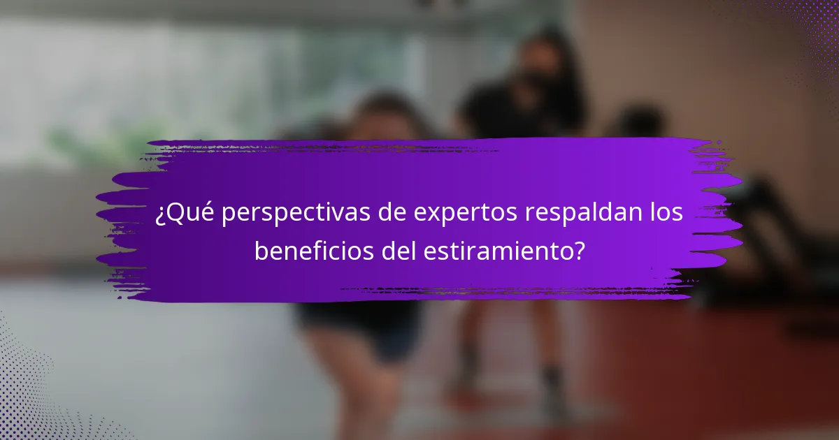 ¿Qué perspectivas de expertos respaldan los beneficios del estiramiento?